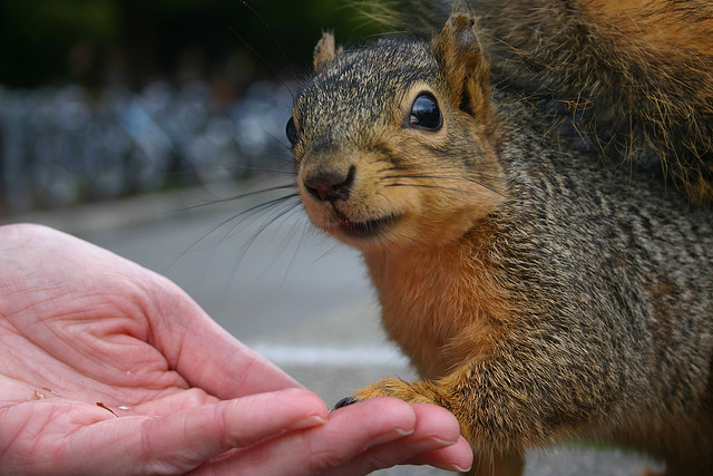 "Hold My Hand" © Kai Schreiber; Creative Commons license