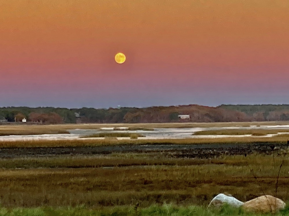 “Moon over Lieutenant Island" © Sanford T. Rose; used with permission.