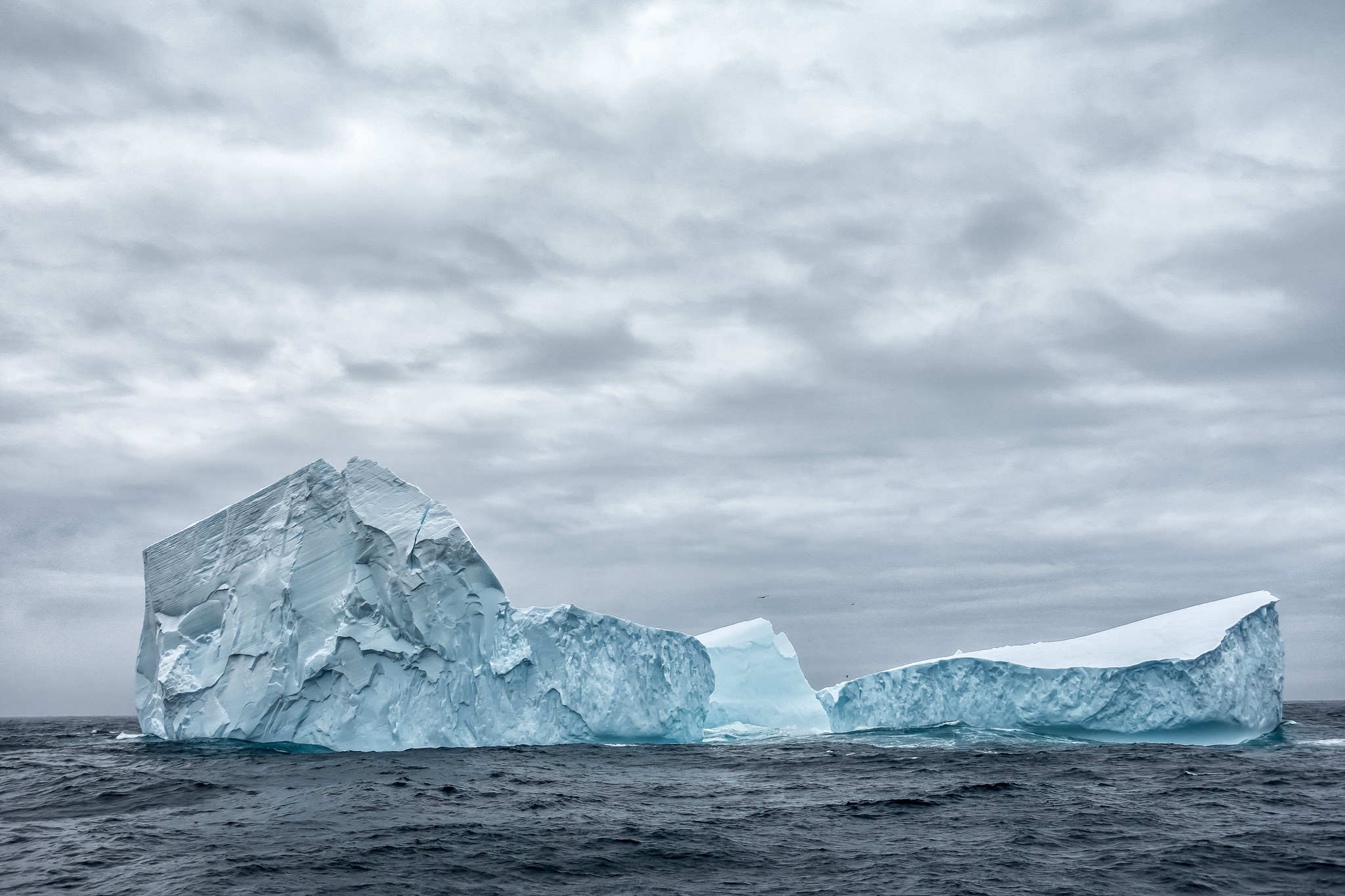 “Iceberg” © Kyle Mortara; Creative Commons license