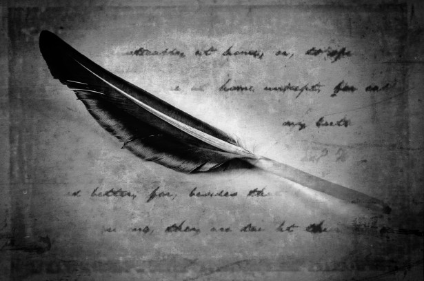 "Black Feather" by George Hodan; public domain