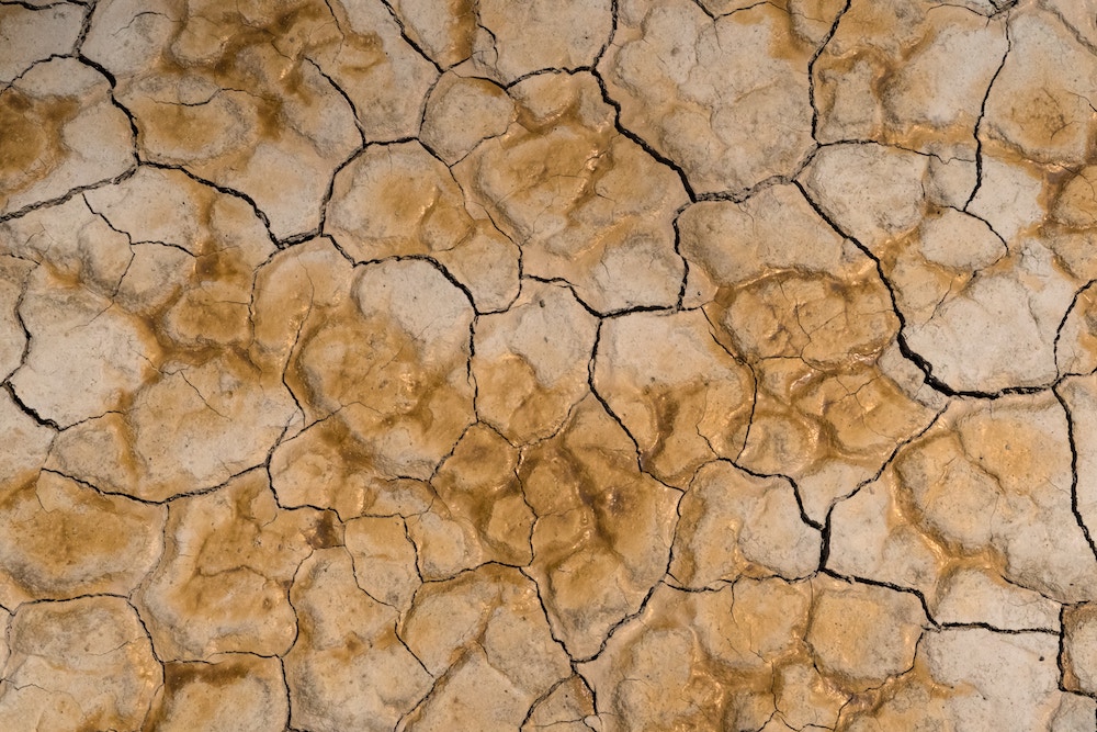 “Alvord Desert Floor, Oregon” © Dan Meyers; public domain