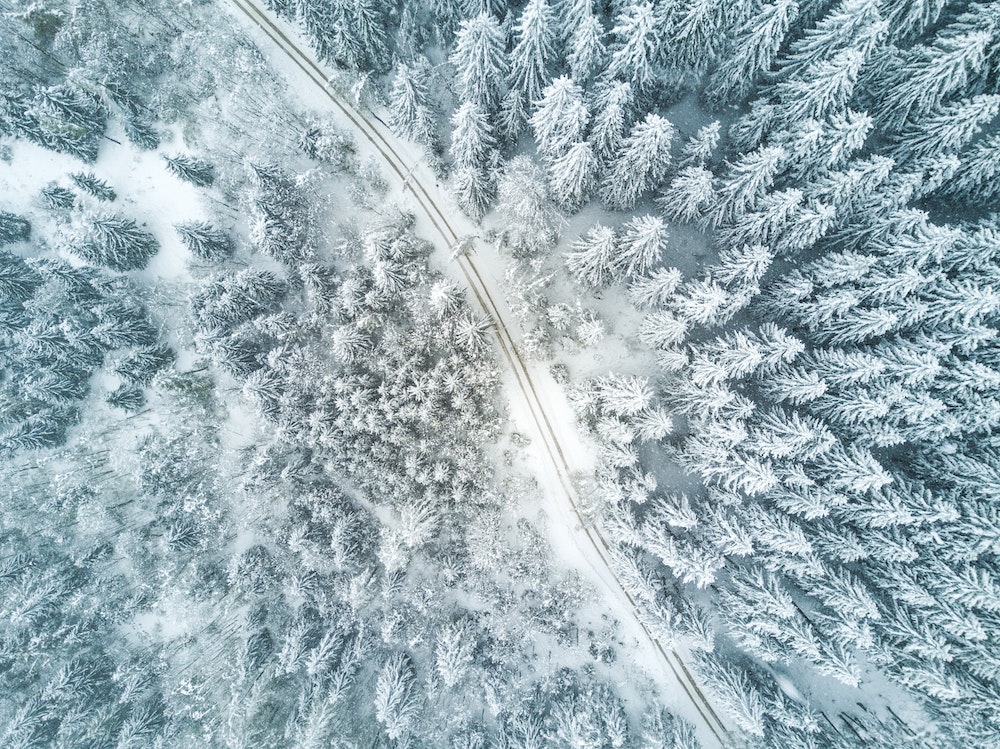 “Bird's Eye View of Snow Forest” © Willian Justen de Vasconcellos; Creative Commons license