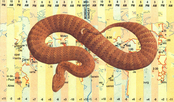 Collage of a snake on a map