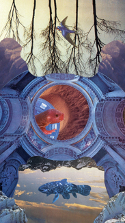 Collage of a fish looking through a portal