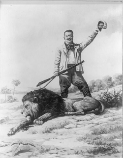 “Theodore Roosevelt with Dead Lion,” photograph of a drawing by Frank Lewis Van Ness