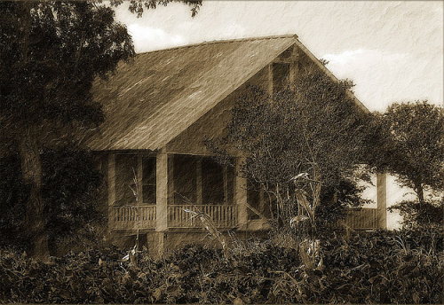 Old Texas Farmhouse  © Carol Von Canon