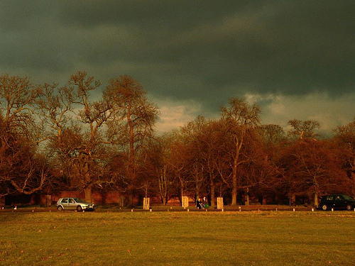 Photo of trees under a stormy sky
