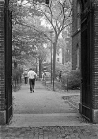 Harvard Yard by majunznk