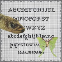 AAA_SAMPLER-325-H-WEB