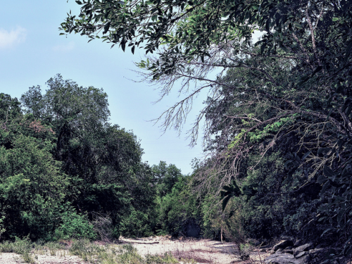 Barton Springs Creek Bed © Mark Stevens
