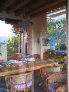 Work with reflections by Felicity Rainnie Reflections in a patio window