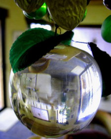 Reflections in a crystal apple.