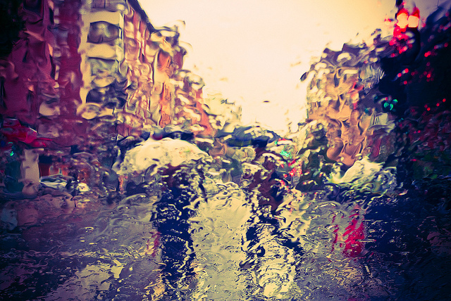 “Rain Vain” © Román P. G.; Creative Commons license