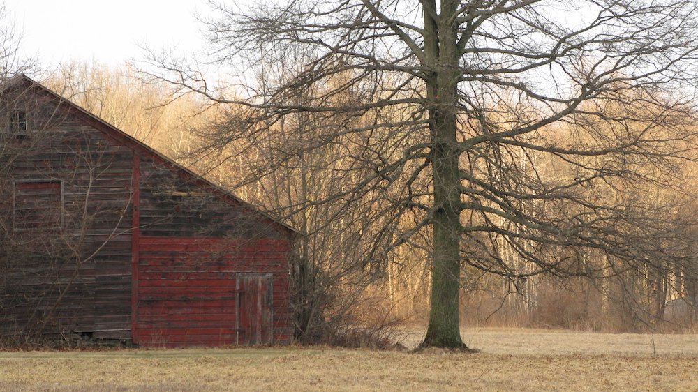 Photo of barn © Brittney Fishman; used by permission
