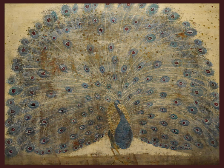 Painting of Peacock © Merab Abramishvili; Creative Commons license