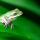 "Tiny Frog" © Theodore Scott; Creative Commons license