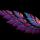 "Angel Wing Fractal” © Tara Roys; used by permission