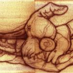 “Mounted on Metaphors” © Lee Don Francisco; Creative Commons license