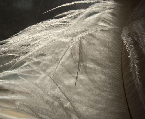 White Feather, Christmas Eve